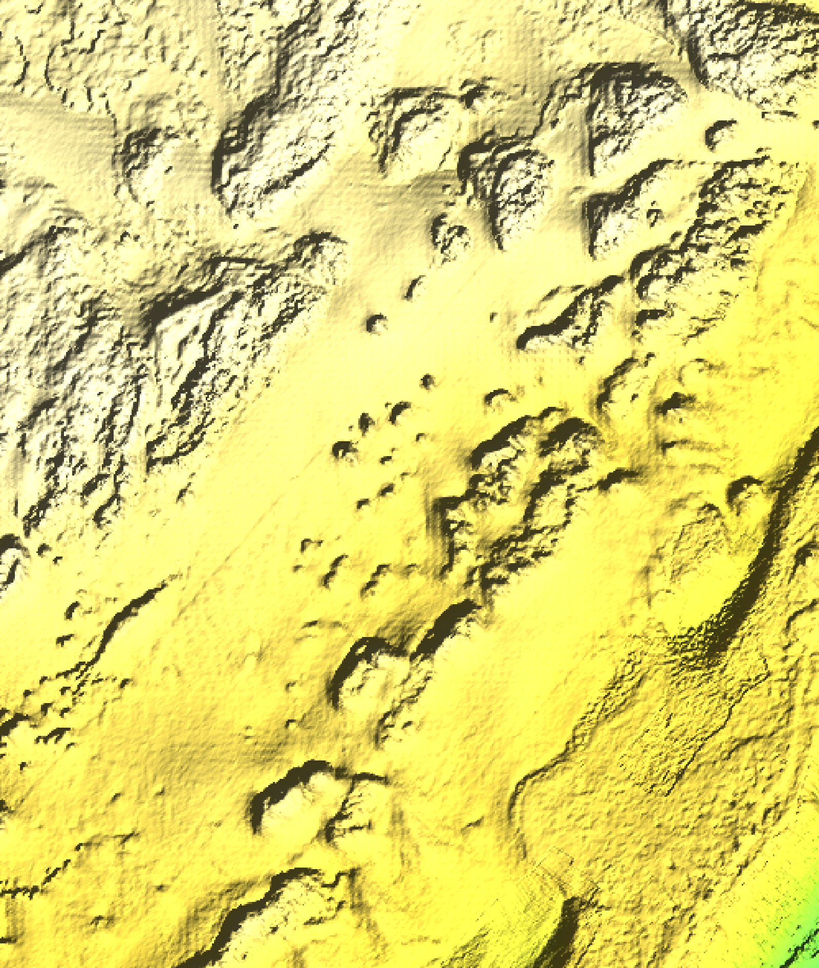 Actual custom relief showing detailed bottom texture offshore of Key Largo in the Florida Keys