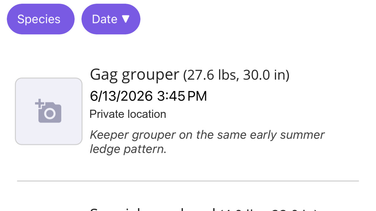 Fish Fathom Catches tab showing saved catch logs