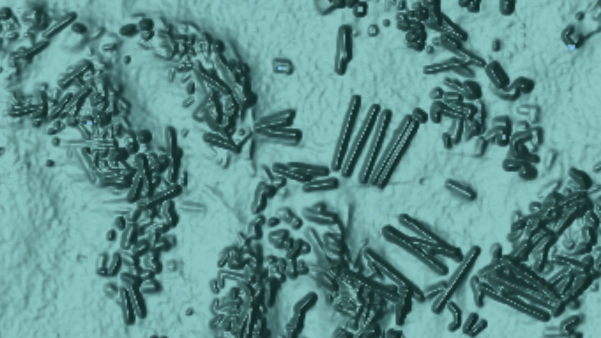 Fish Fathom HD Bathymetry relief shading preview